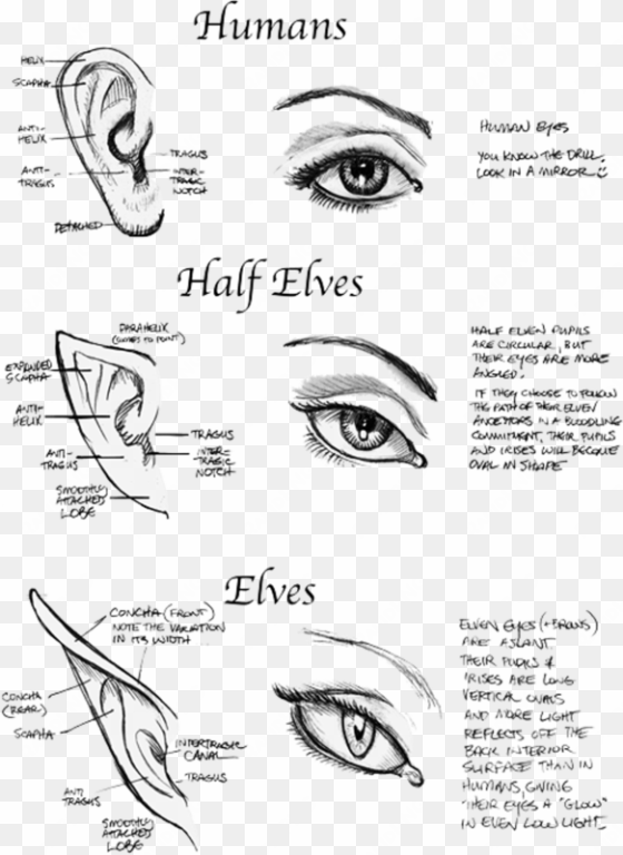 based on this, i think i may be part elf - anime elf eyes