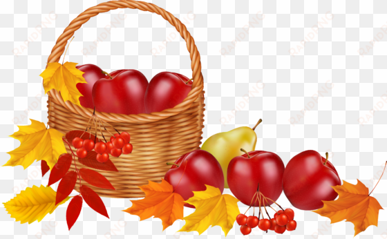 basket with fruits and autumn leaves png clipart image - transparent autumn clip art