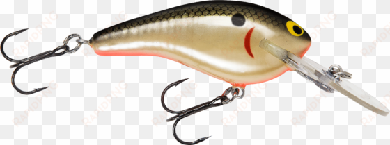 bass fish png clipart best - bass fishing lures transparent