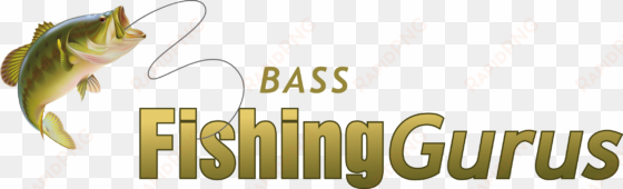 bass fishing gurus - black bass