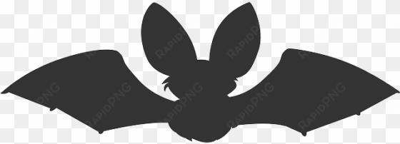 bat, animal, dark, flying, night, scary, silhouette - pipistrelle gillian clarke