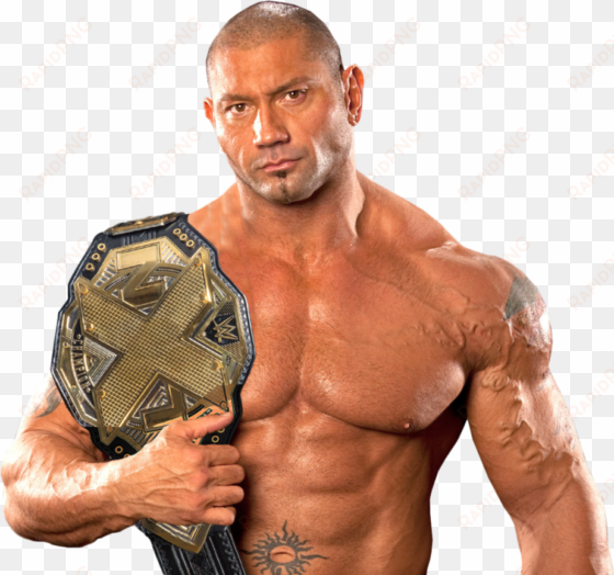 batista wwe championship png transparent image - wwe randy orton evolution