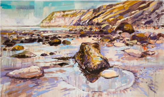 beach puddles port mulgrave1 - boulder