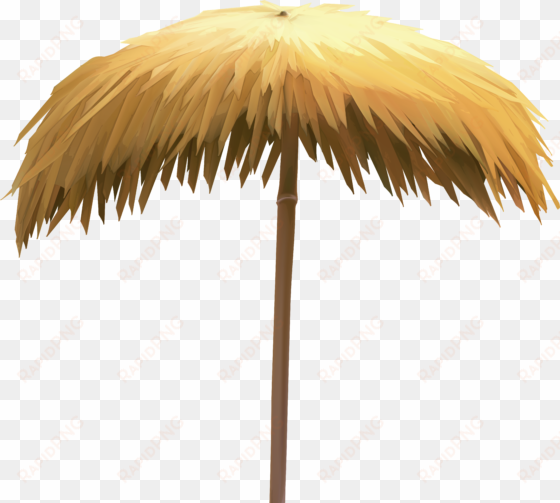 beach umbrella clipart png