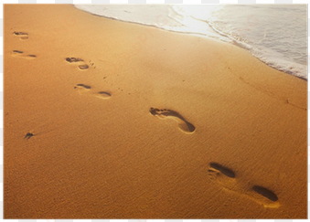 beach, wave and footsteps at sunset time poster • pixers® - footprint