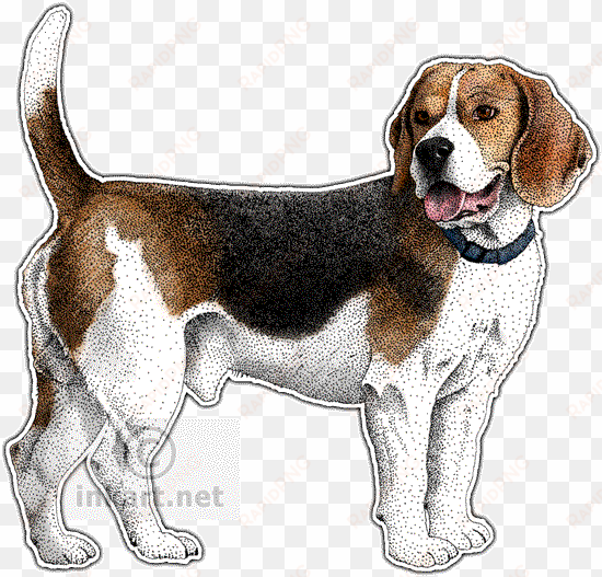 beagle decal - dog