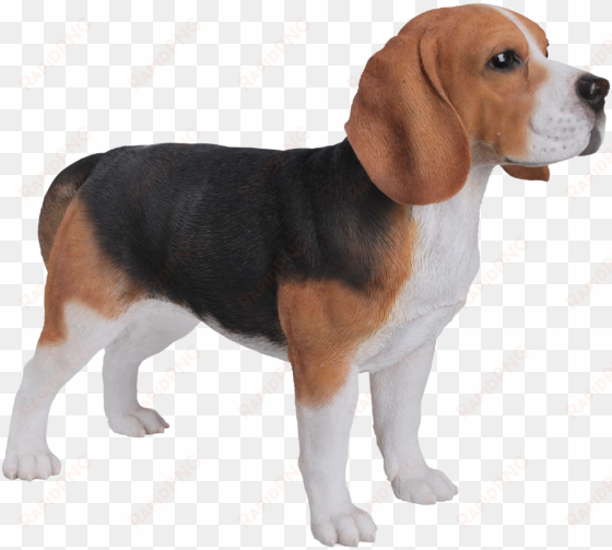 beagle png download image - beagle statue