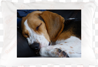 beagle sleeping pillow case - dog