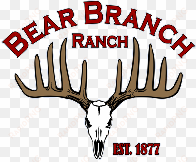 bear branch logo white outline - bear branch ranch
