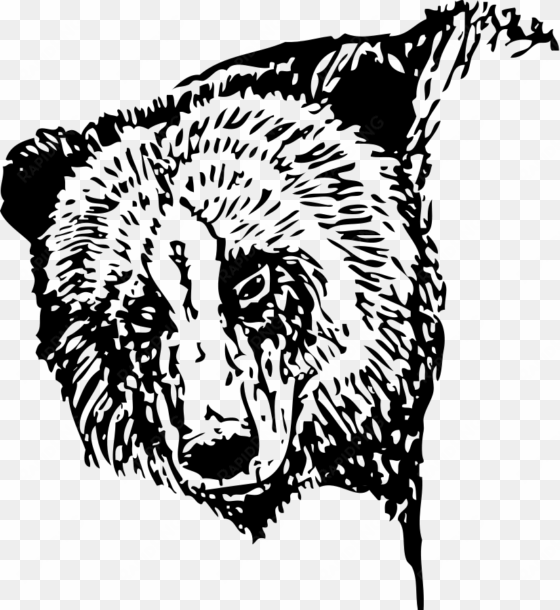 bear head clipart png for web