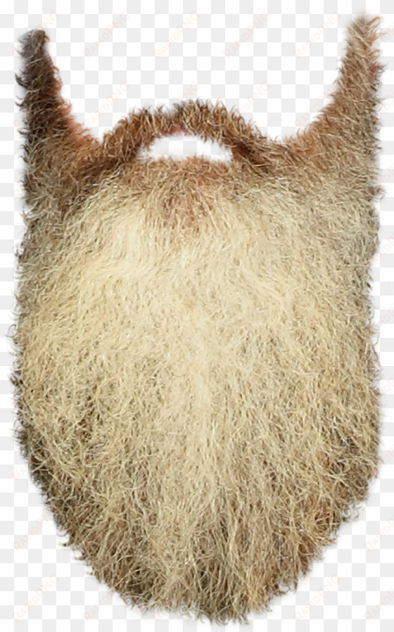 beard in - beard transparent background