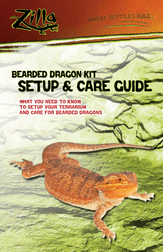 bearded dragon kit setup & care guide pdf - zilla floating basking platform replacement suction