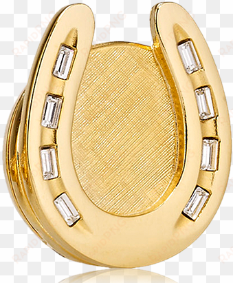 beautiful golden horseshoe - women's estee lauder limited edition horseshoe solid