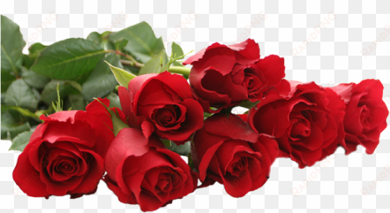 beautiful red rose png, beautiful rose, red rose, red - crochet jewelry, beaded necklace, hand crocheted lariat