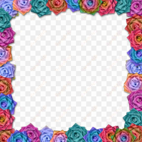 beautifull roses flower latest border design hd - flower border design hd