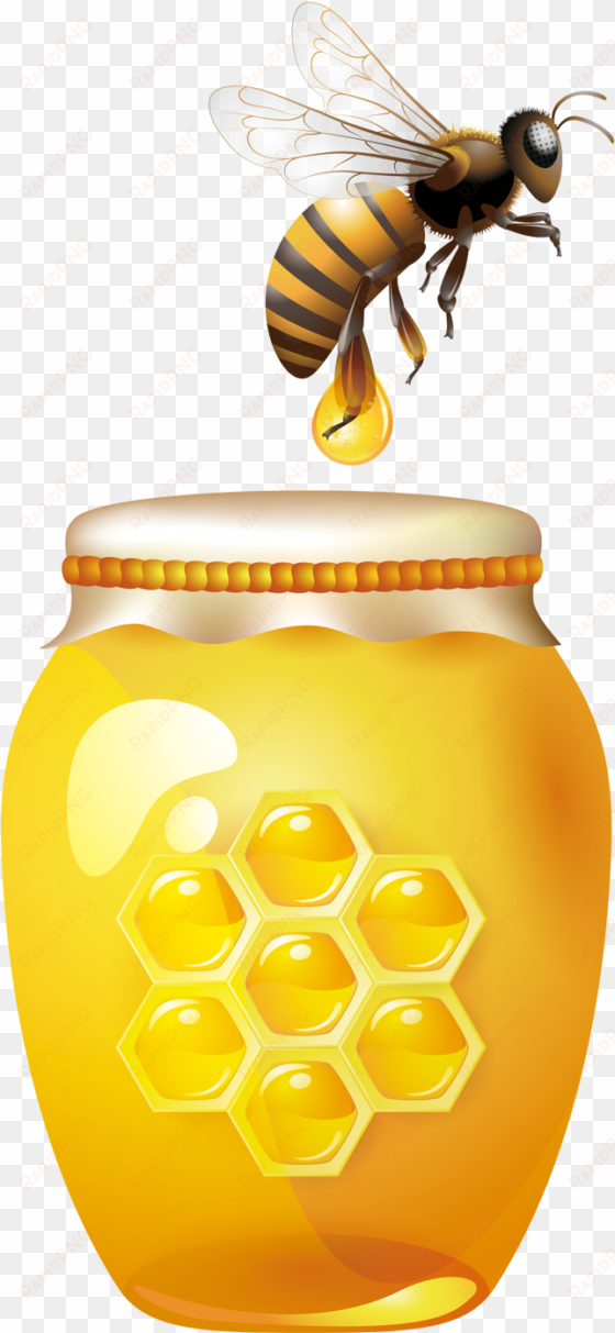 bee honey jar clip art - honey bee jar