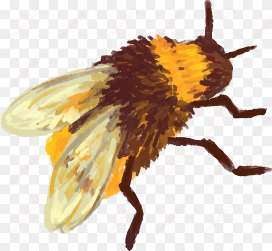 bee1 - beehive vector bee