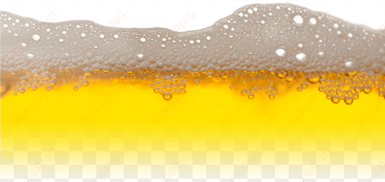 beer froth - beer image png