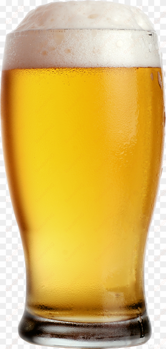 beer in glass png