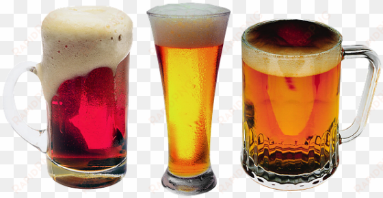 beer mug glass foam the thirst binge drink - drink beer, get thin diet: a low carbohydrate approach