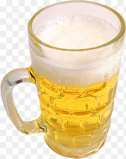 beer png transparent image - portable network graphics