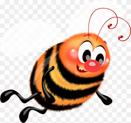 bees - - honey bee