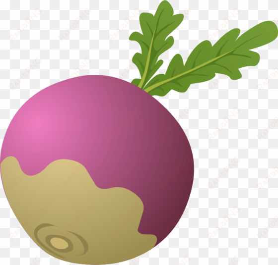 beet clipart turnip - turnip clipart