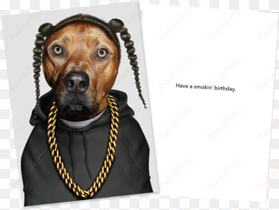 Behind The Card - Libreta Rap: Small Famous Faces Journal (pets Rock) transparent png image