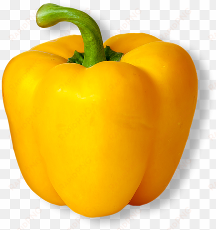 bellpepper, bell, pepper, raw, vegetable, ingredient - grandes consejos alimenticios: grandes alimentos para