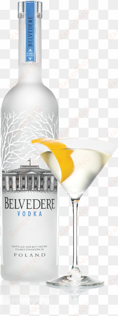 belvedere bottle - belvedere vodka