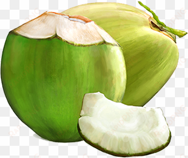 benefits for cosmetic applications - green coconut fruit png
