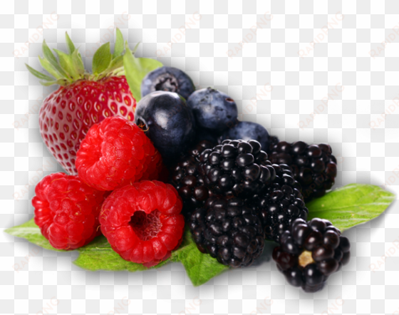 berries png clipart - berries clipart transparent