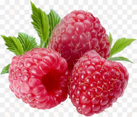 berries png file - raspberry png