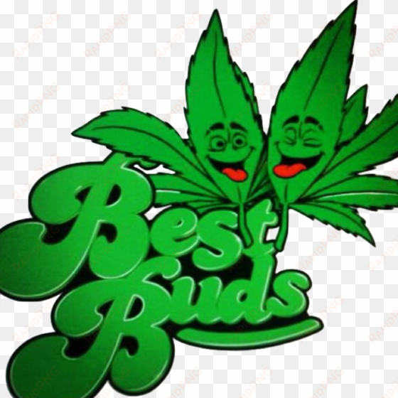 Best Buds Basement - Best Bud-t Mugs transparent png image