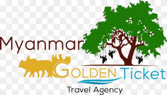 best local travel agency in yangon - live oak tree silhouette