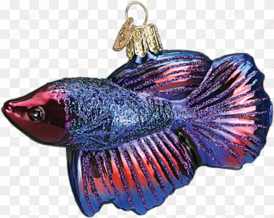 betta fish ornament - betta fish glass ornament by old world christmas