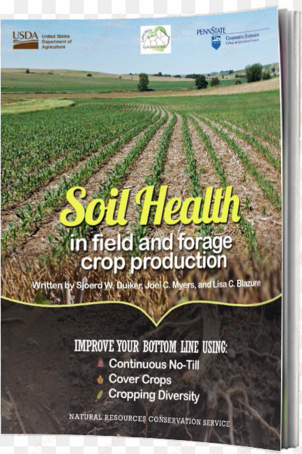 better soils with the no-till system - field