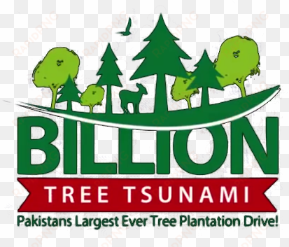 billion tree tsunami afforestation project