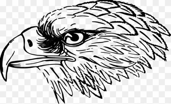 bird-2029234 - falcon black and white clip art