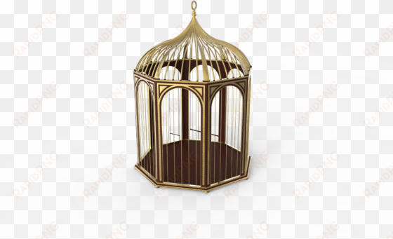 bird cage 1 - cage