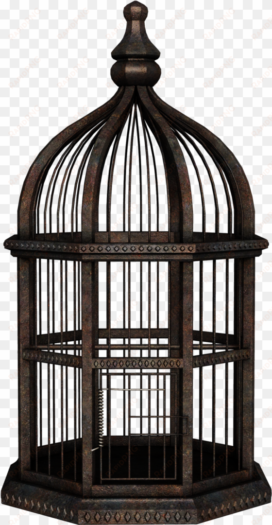 bird cage png - bird cage transparent background