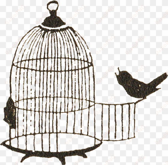 bird cage silhouette 001 copy - caged bird clip art