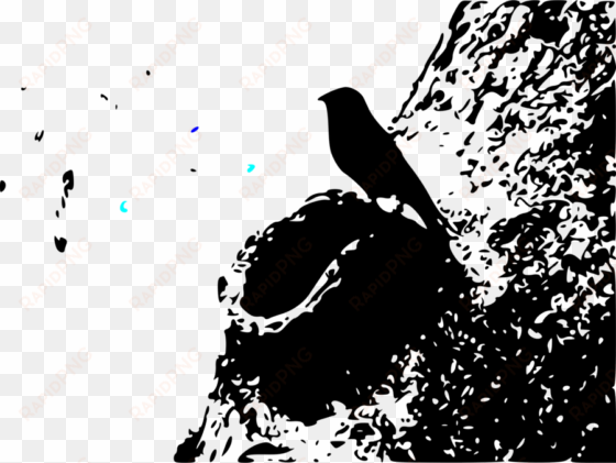 Bird Clipart Bird Clip Art - Drawing transparent png image