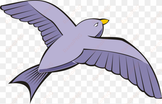 bird columbidae rock dove flight beak - birds flying in the sky clipart