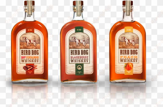 bird dog flavored whiskey - bird dog blackberry whiskey - 750 ml bottle