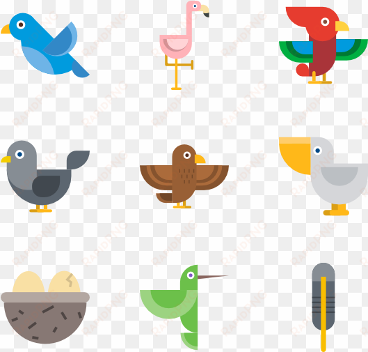 bird icons - birds icons