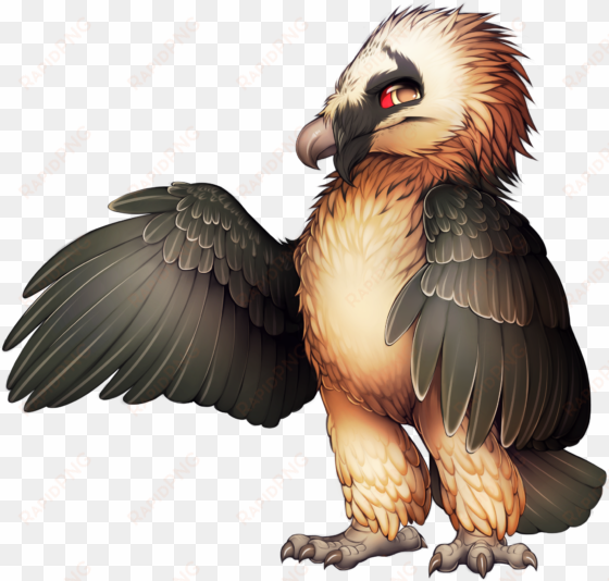 bird of prey bearded vulture egyptian vulture - bearded vulture png