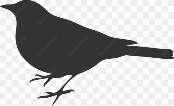 bird outline gray svg clip arts 600 x 380 px