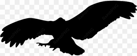 bird silhouette eagle png - owl flying silhouette png