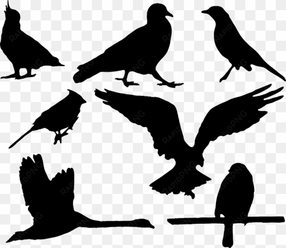 bird silhouettes svg library - gambar bayangan burung merpati